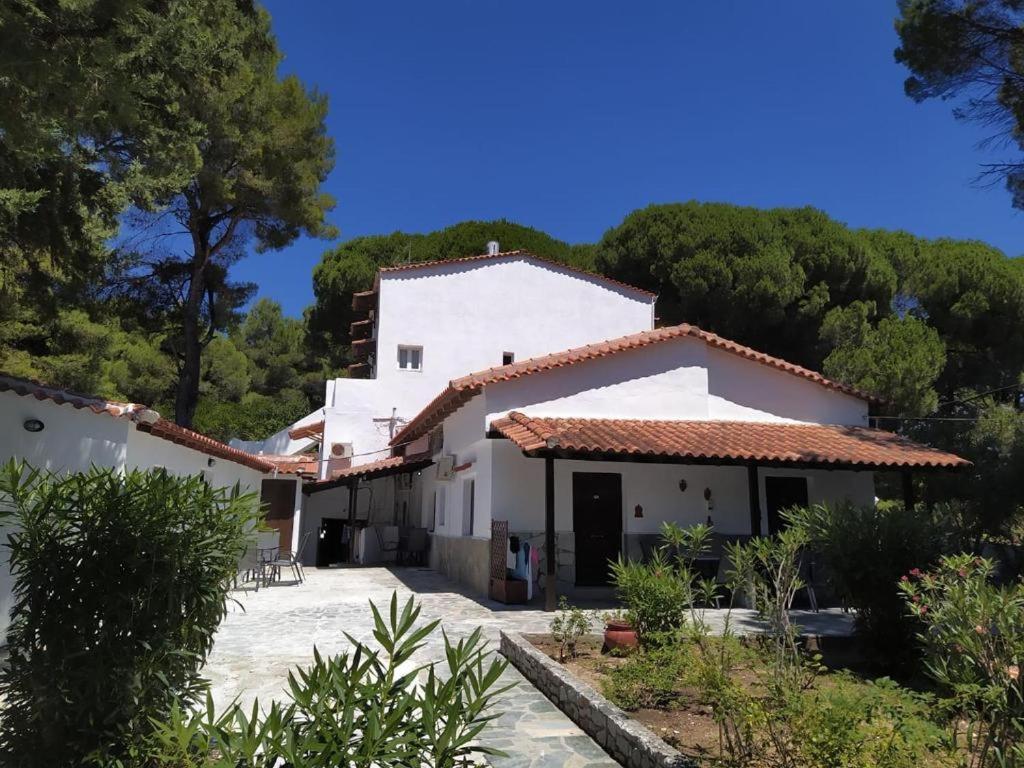 Villa Nikos Koukounaries Zewnętrze zdjęcie